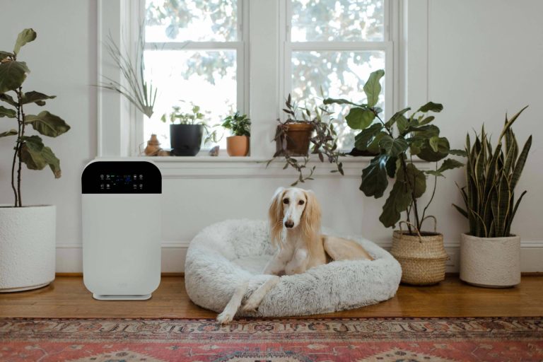 ¿Por qué es necesario tener un purificador de aire este invierno?