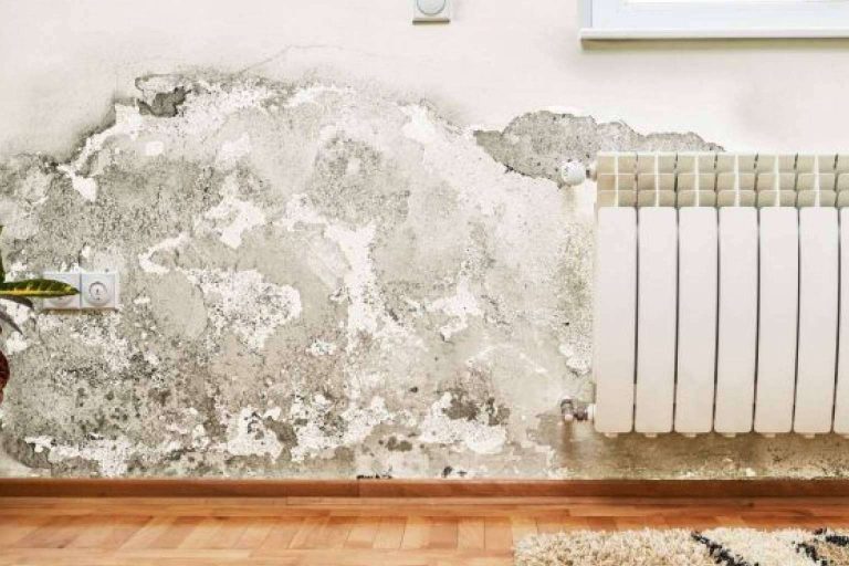 Contar con los expertos de Preactiva para eliminar todo tipo de humedades