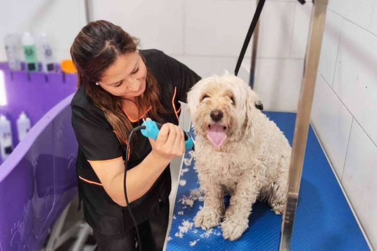 La nueva peluquería canina en San Miguel, Santiago de Chile de Oh My Pet