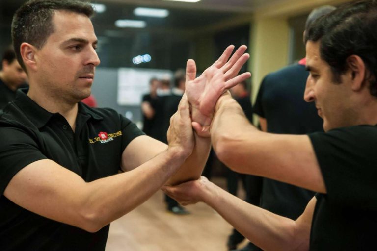 Cuáles son los tipos de clases que se imparten en Moy Yat Ving Tsun