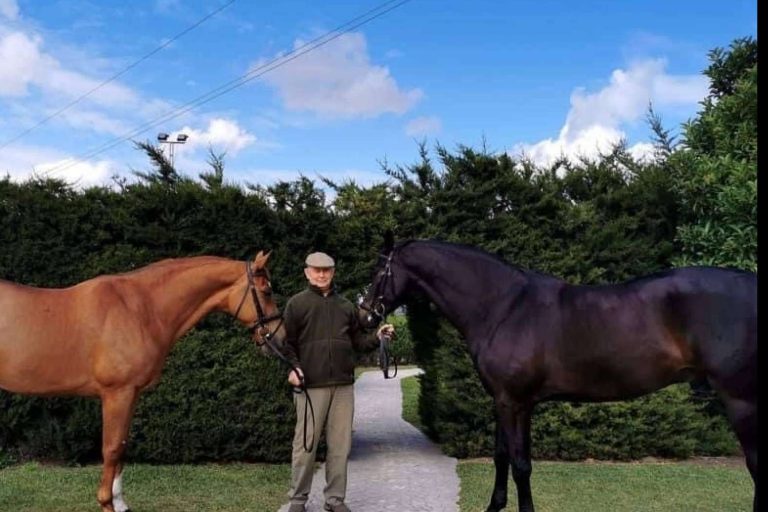 El centro donde cuidar de la salud tanto de jinetes como de caballos, Yeguada Encinasola