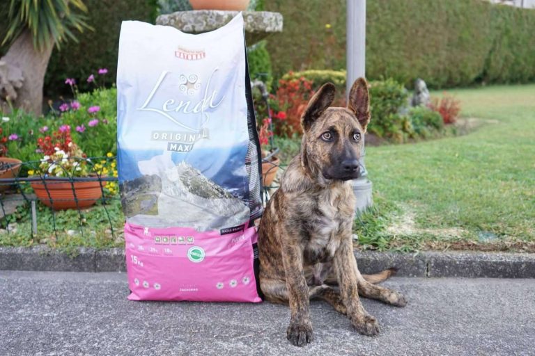 Lenda contribuye a la correcta alimentación de los cachorros