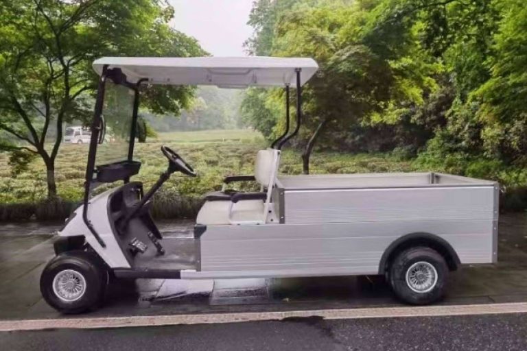 Electric Car Convert, calidad e innovación en buggies eléctricos