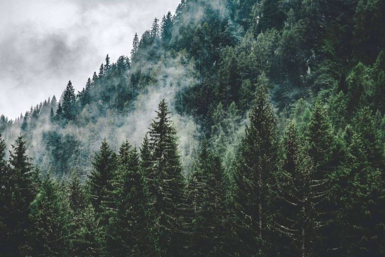 LOSMA STUDIO escoge Accoya® y Tricoya® para sus nuevos modelos de balcones y ventanas