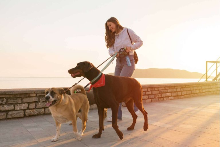 Mascozyme® Urban Cleaner, la solución a la contaminación ambiental por excrementos y orines de perros y gatos