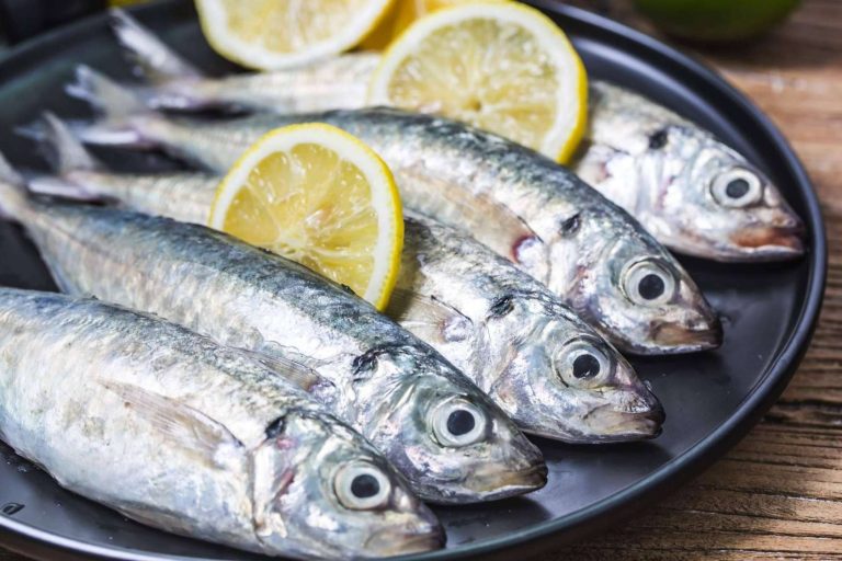 Uno de los mejores jureles a la puerta de casa, Lonja de Ayamonte