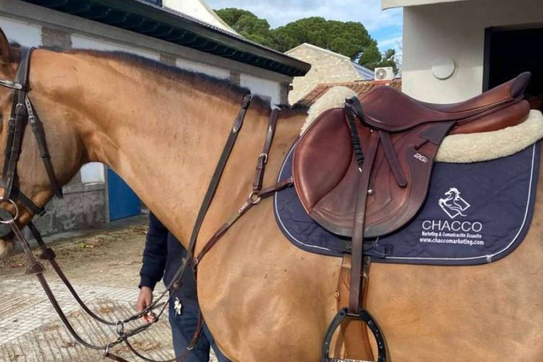 Servicios de marketing, comunicación y relaciones públicas con Chacco Marketing