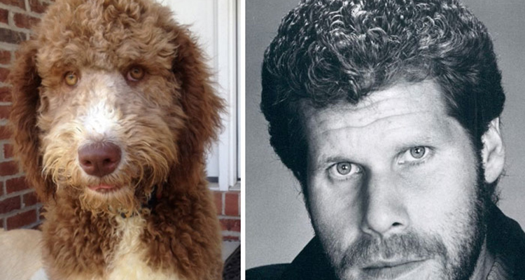 Famosos que parecen animales