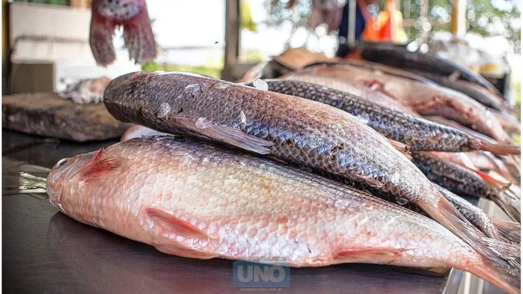 Pescado y marisco: Un producto costoso
