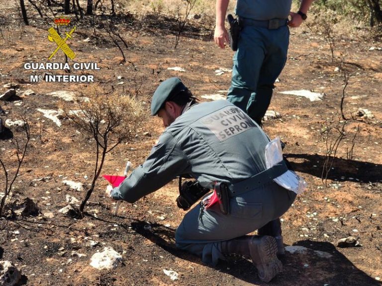 Investigado un varón en La Puebla del Río (Sevilla) por la caza ilegal de 30 aves de una especie protegida