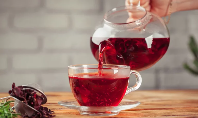 Dieta del té rojo: quema grasa y pierde un montón de kilos