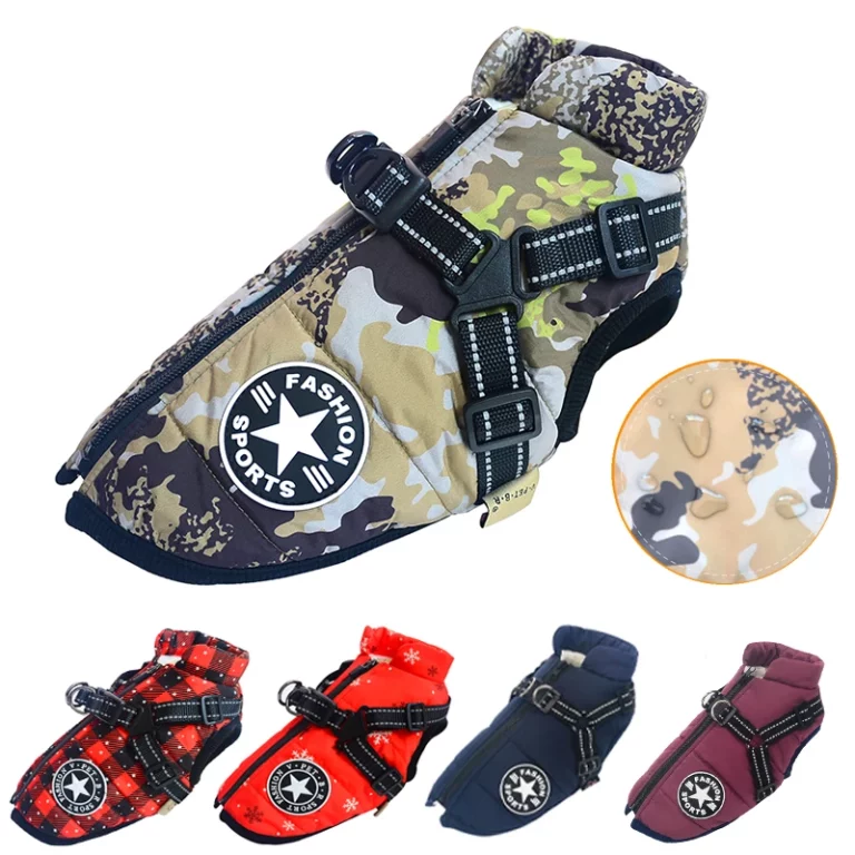 Estos abrigos para mascotas de Aliexpress cumplen las '3B': buenos, bonitos y baratos