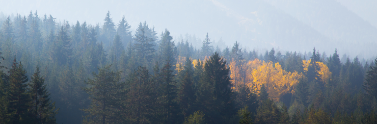 Damco Trading and Services S.A. apuesta por la sostenibilidad medioambiental