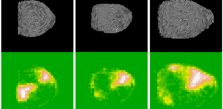 Dame tus huellas y te diré si estás loco