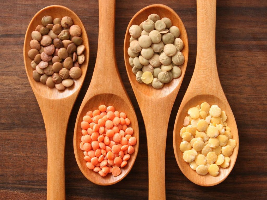 ¿Cómo es una planta de lentejas perfecta?