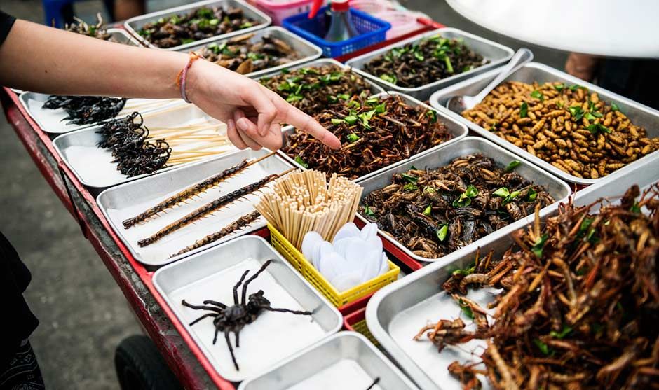 ¿Granjas de insectos?