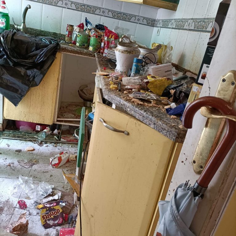 La lacra oculta del Síndrome de Diógenes: 3 de cada 10 afectados reinciden