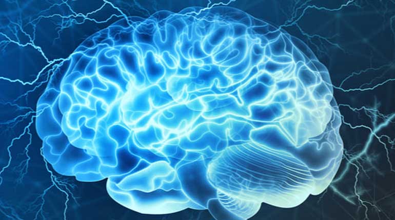 La función que se “cree” que tiene