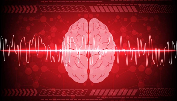 Otras funciones de las membranas tipo mesotelio