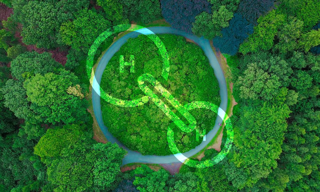 La energía verde le juega una mala pasada a España