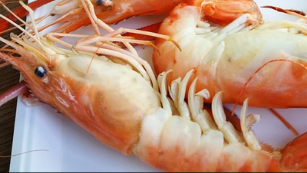 Consejos langostinos perfectos