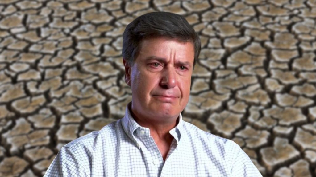 Trayectoria profesional