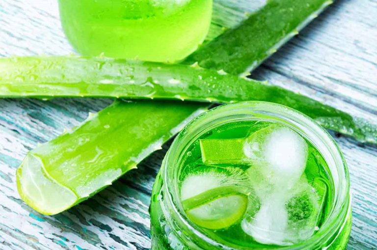 Los usos alternativos del aloe vera más allá del decorativo