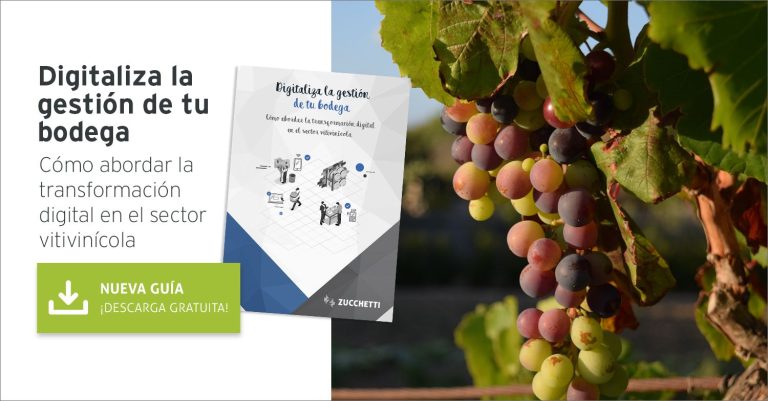 La transformación digital, una necesidad imperiosa en el sector vitivinícola
