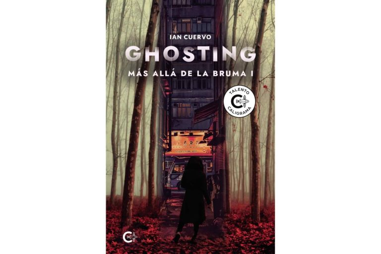 Una respuesta a una infancia de hospitales, la literatura fantástica de la saga 'Más allá de la bruma'