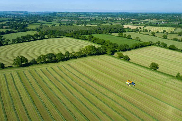 La reducción de costes sostenible con el autoconsumo fotovoltaico de Grupo MQ
