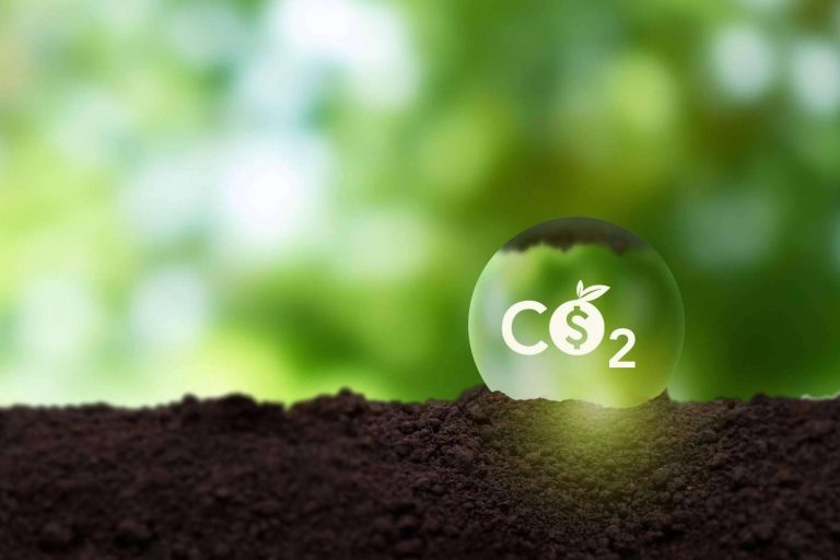 Comprar bonos de carbono en el marketplace ClimateTrade