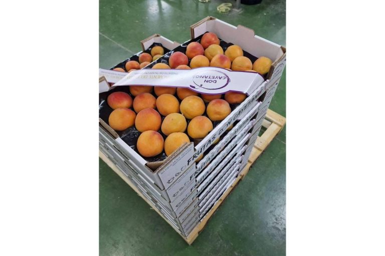 Frutas Don Cayetano, la empresa especializada en la exportación de frutas de hueso y cítricos