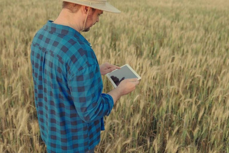 El software de Certitec que permite optimizar la gestión de las explotaciones agrícolas y agropecuarias en España, ERP Cuadernos de Explotación