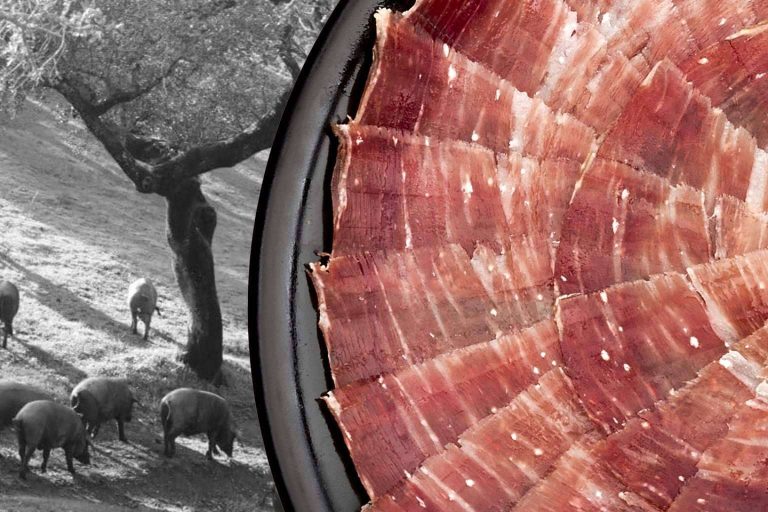 Productos ibéricos, el componente estrella de Cárnicas Segundín S.L. que convertirá un encuentro casual en toda una experiencia gastronómica vital
