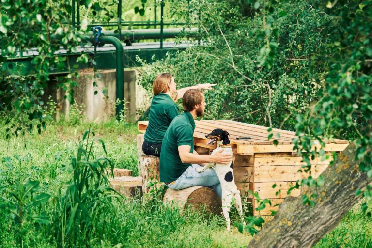 El origen y la clave de un virgen extra de máxima calidad