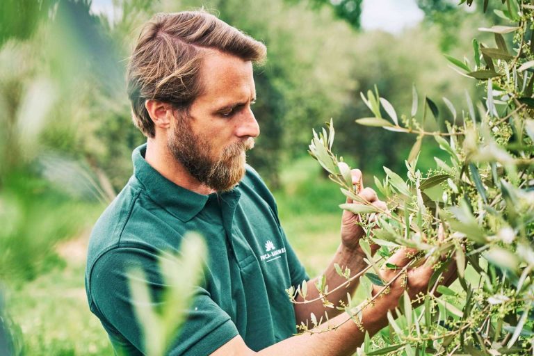 Un Virgen Extra de Edición Limitada, el Finca Badenes de Primer Día de Cosecha de la firma Aires de Jaén AOVE