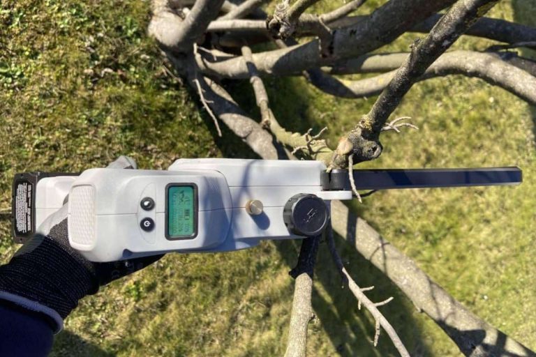 Motosierras para podar de gasolina, a batería o eléctricas en el catálogo de Agrocor