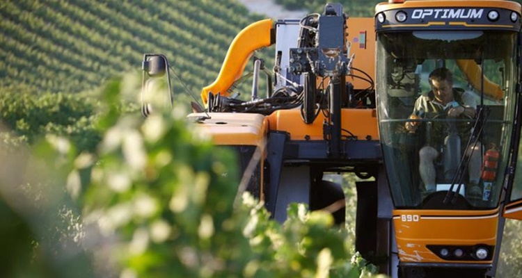 Nueva PAC 2023 ganaderos