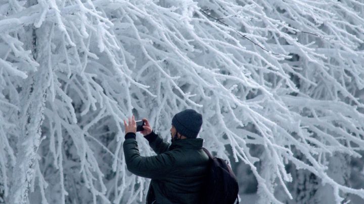 Disposición estatal