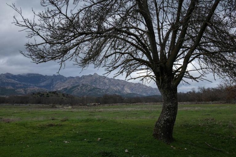 Tiempo soleado y sin lluvias en la mayor parte del país menos en Canarias, con nieve, lluvia y tormentas