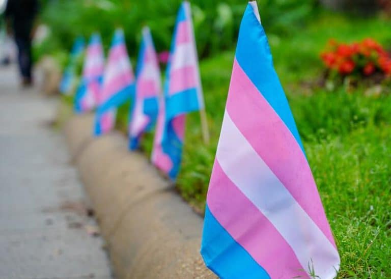 Colectivos dejarán la Mesa LGBTIQ+ de Tenerife si el Cabildo apoya el debate 