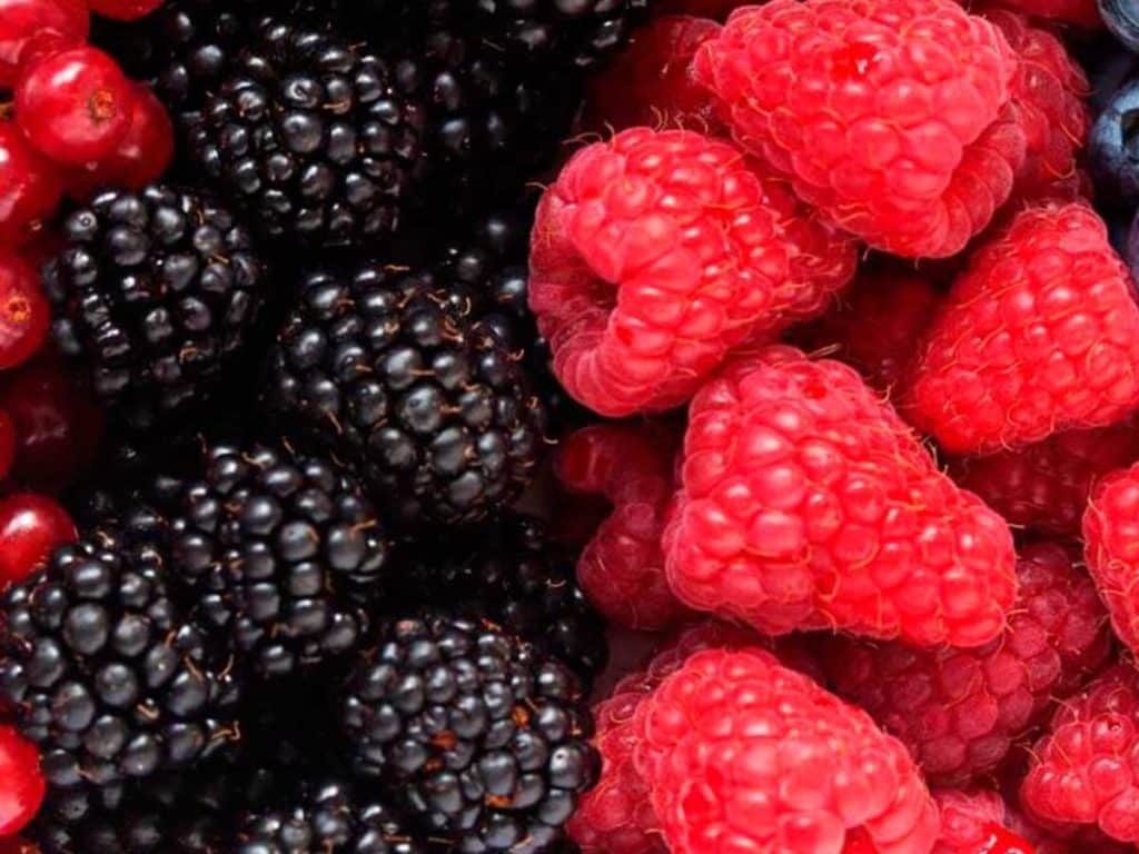 Los alimentos ideales para un organismo sin inflamación 152 Los alimentos ideales para un organismo sin inflamación