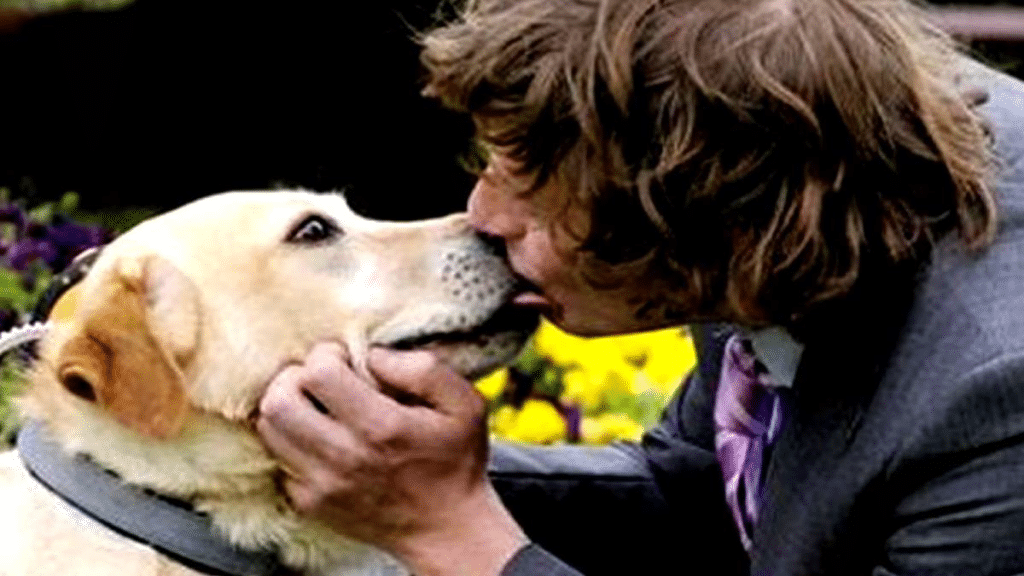 Causas de la petofilia