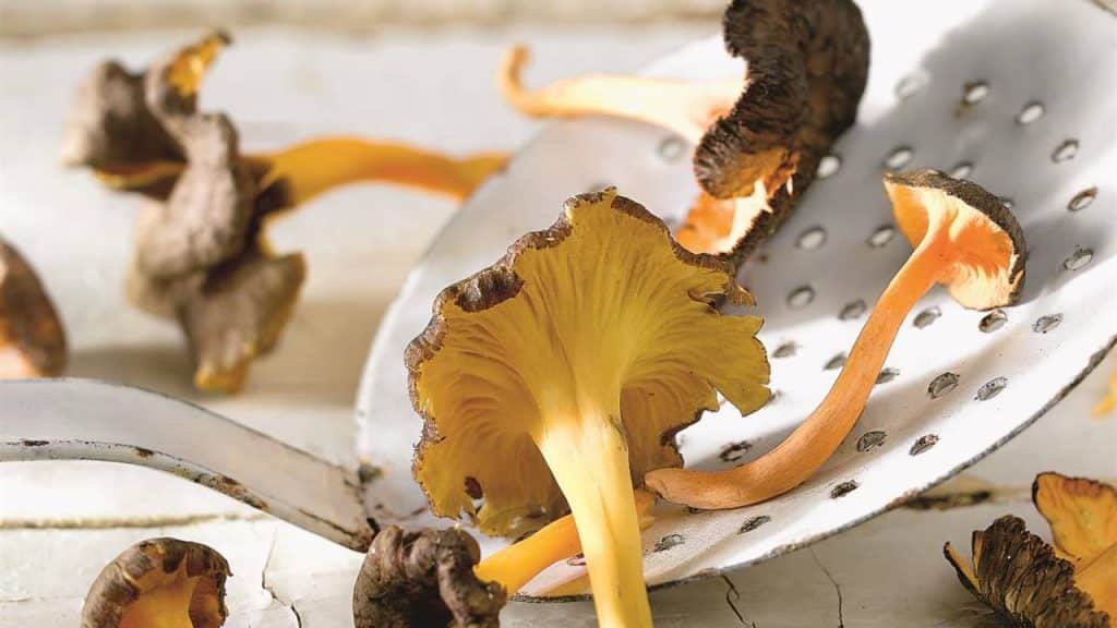 Recomendaciones antes de comprarlas y consumirlas