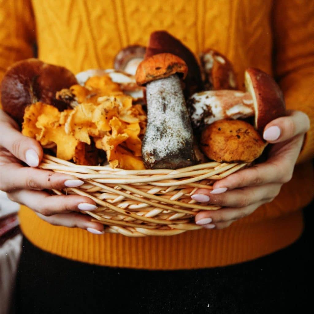 Una buena propuesta para llevarlas a tu mesa