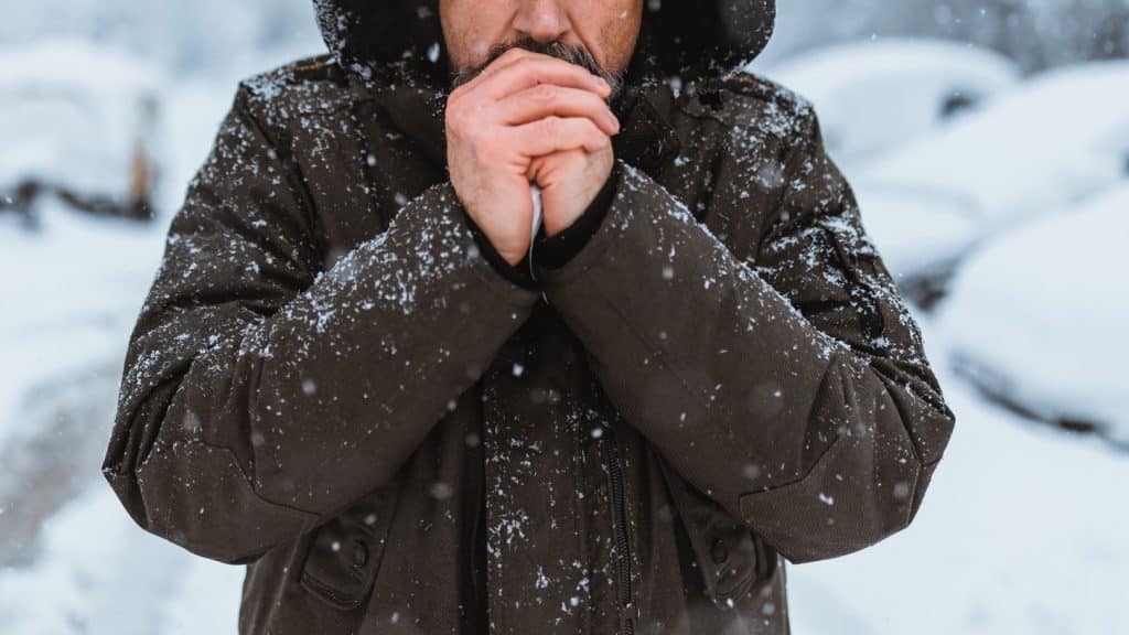 Debido a ello, han podido colonizar