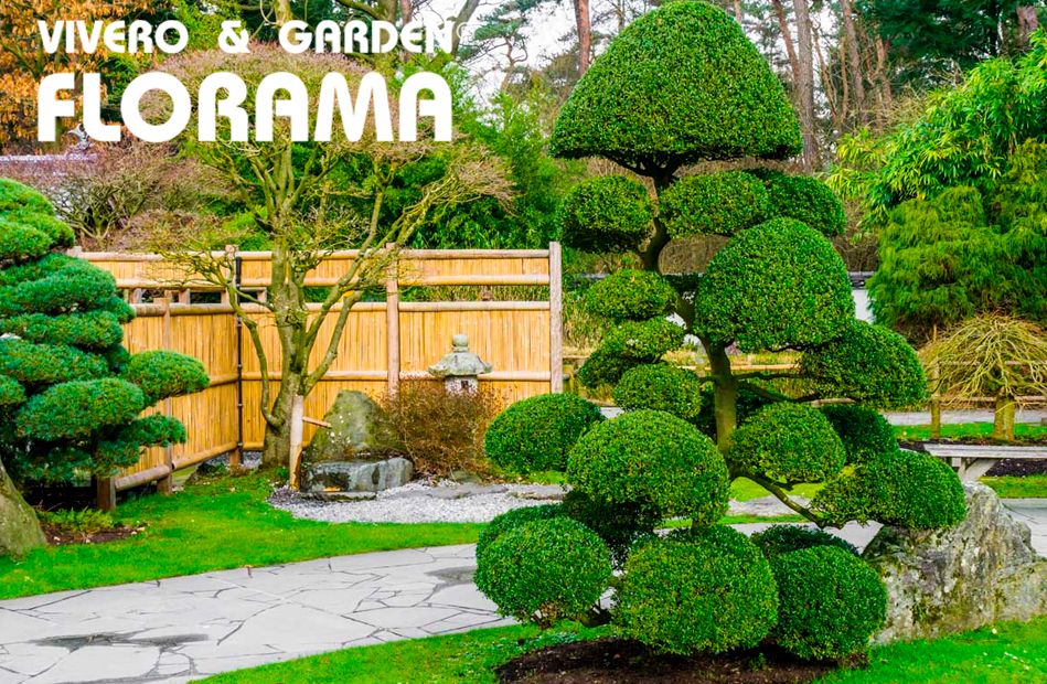 La poda de árboles por salud y seguridad, por VIVEROS FLORAMA 9 PODAS FLORAMA