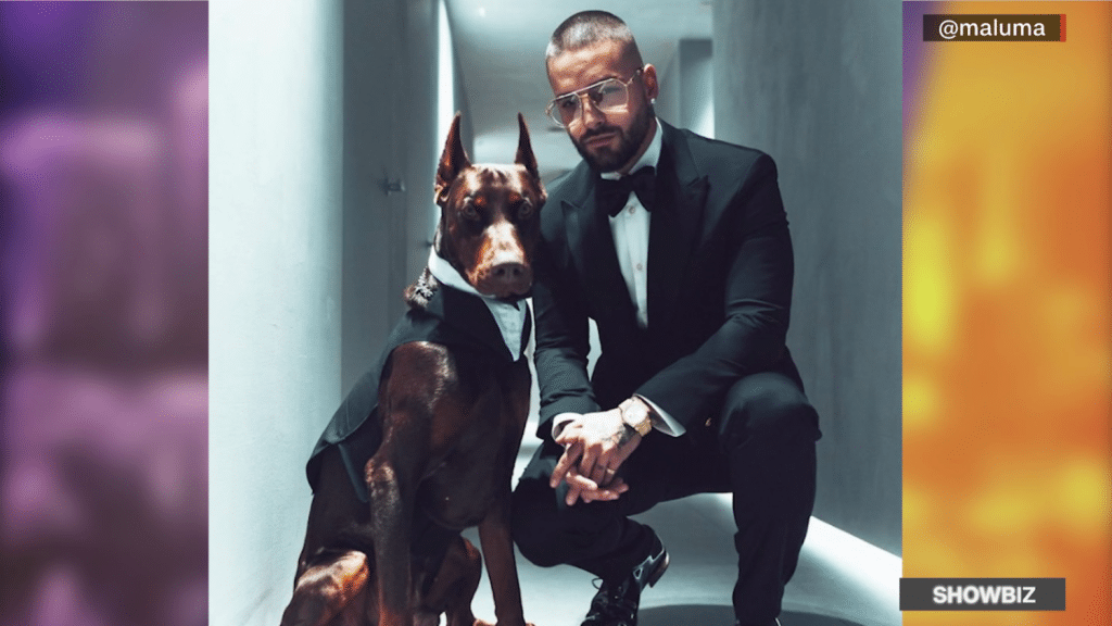 Petofilia. El trastorno de los famosos