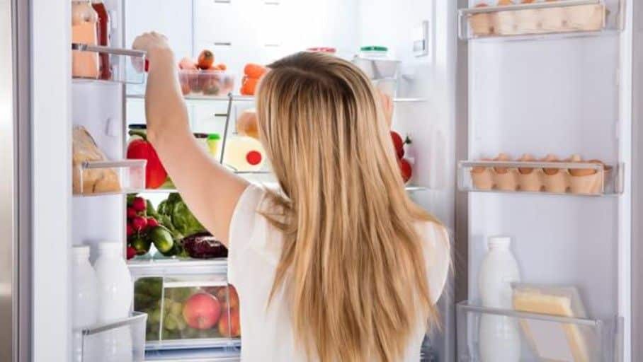 ¿Sabías que la parte trasera del refrigerador es la más fría?