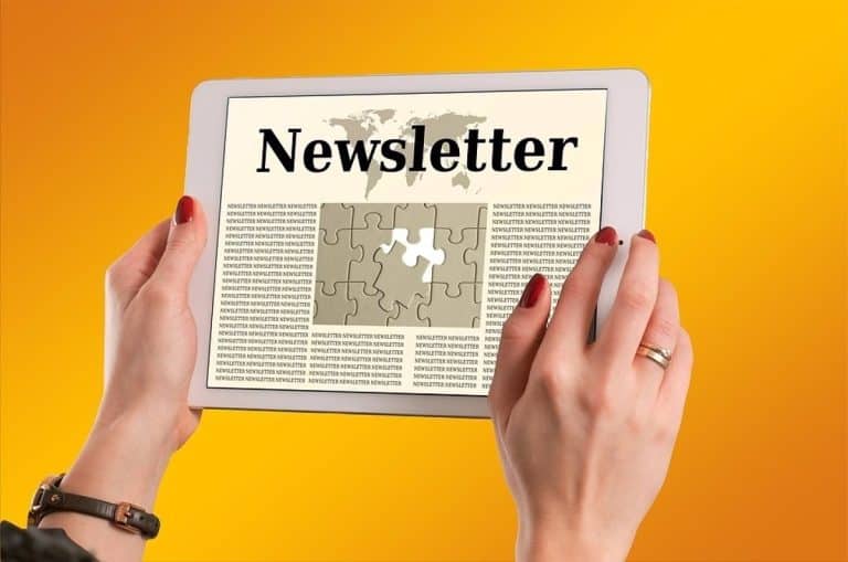 La newsletter: la  